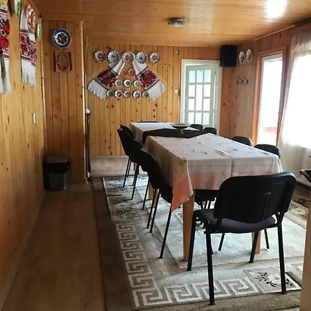 Pensiunea Grapini * Sant