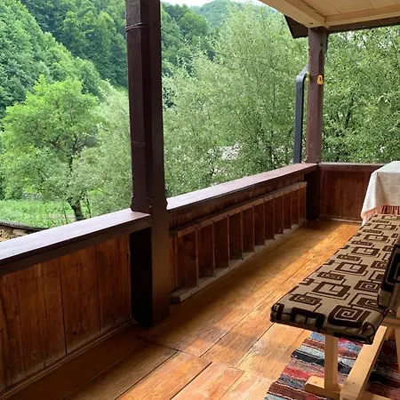 Pensiunea Grapini Guest house Sant
