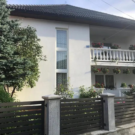 Guest house Pensiunea Grapini