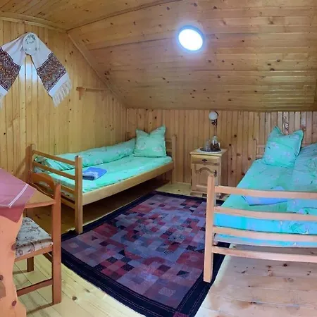 Pensiunea Grapini Guest house *