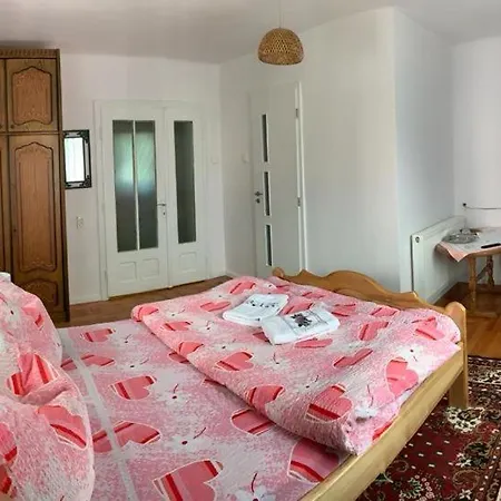 Pensiunea Grapini Guest house *
