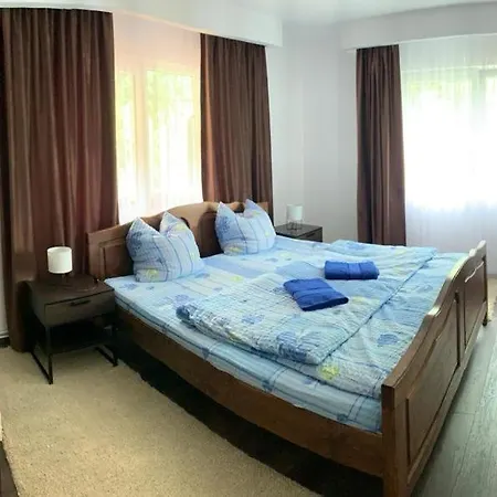 Guest house Pensiunea Grapini Sant