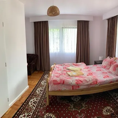 Pensiunea Grapini Guest house Sant