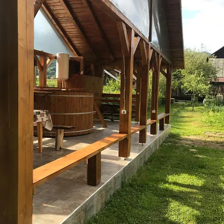 Pensiunea Grapini Guest house *